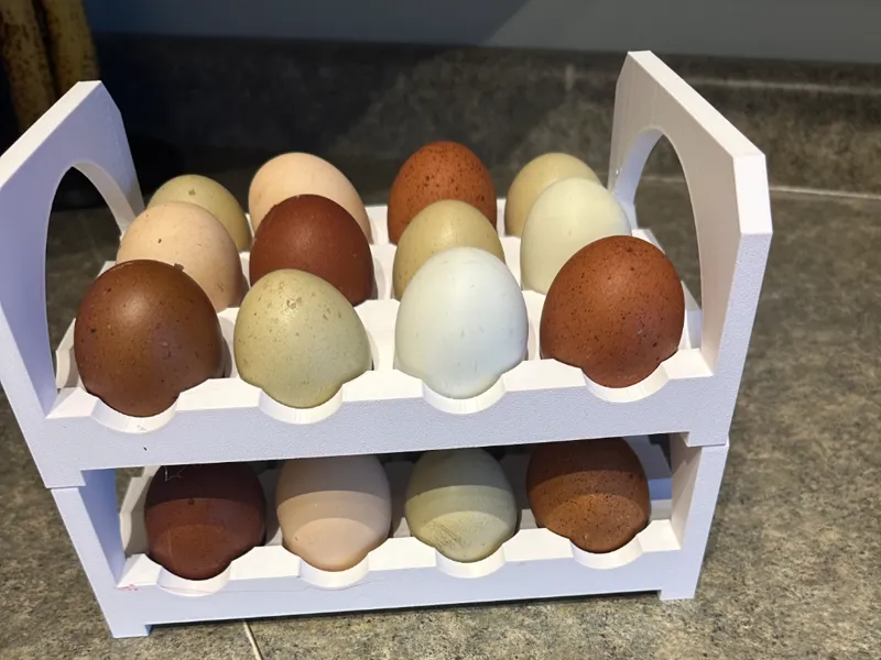 12 EGG STACKABLE STORAGE EGG TRAY RACK 