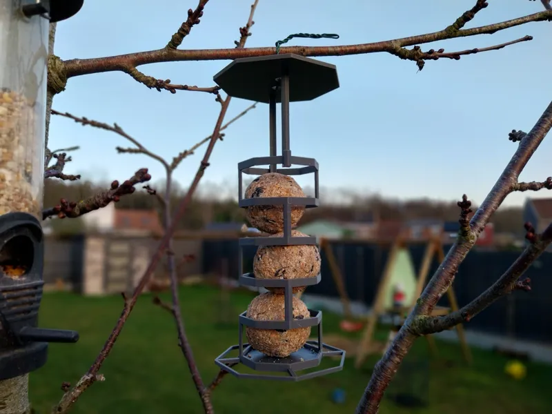 Mangeoire à oiseaux - Boules de graisse