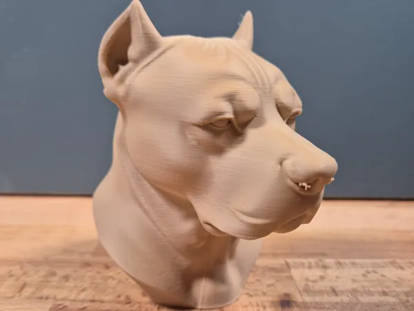 https://makerworld.bblmw.com/makerworld/model/US1f1277b802919c/design/2025-05-13_0cd1e01392e468.jpg