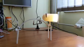 Cat Lamp