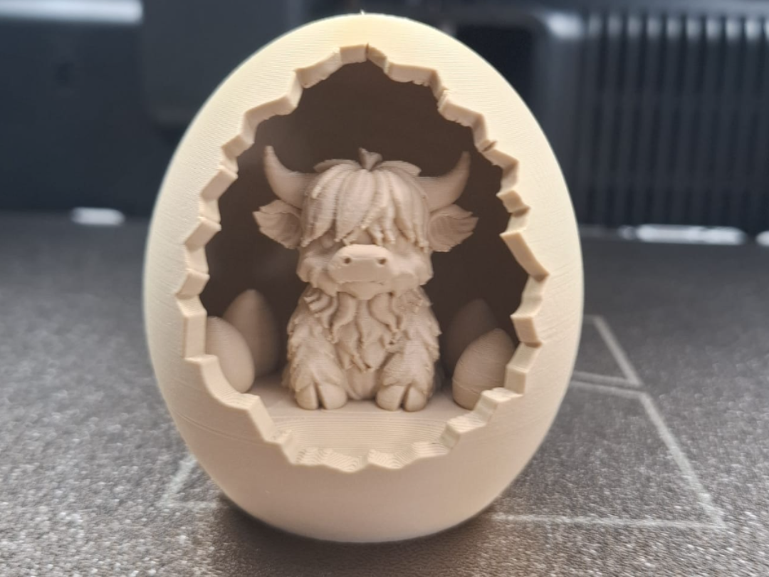 Hatching Happiness – A Highland’s Cozy Debut