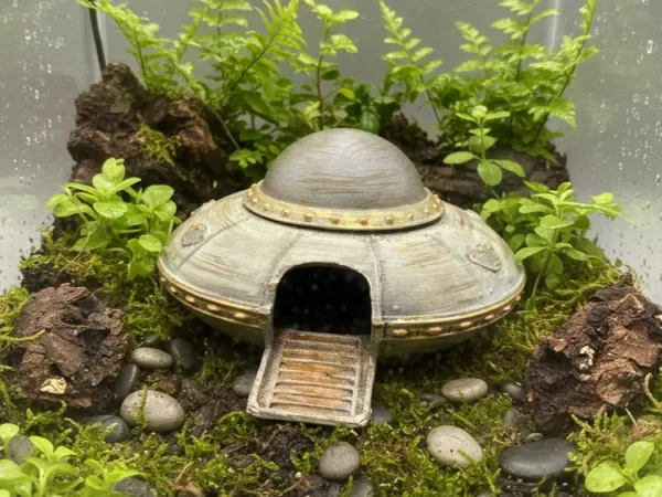 https://makerworld.bblmw.com/makerworld/model/US1f2c94471576b0/design/fe543e9ea581ece9.jpg