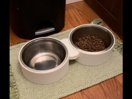 Dog Bowl Stand/Holder