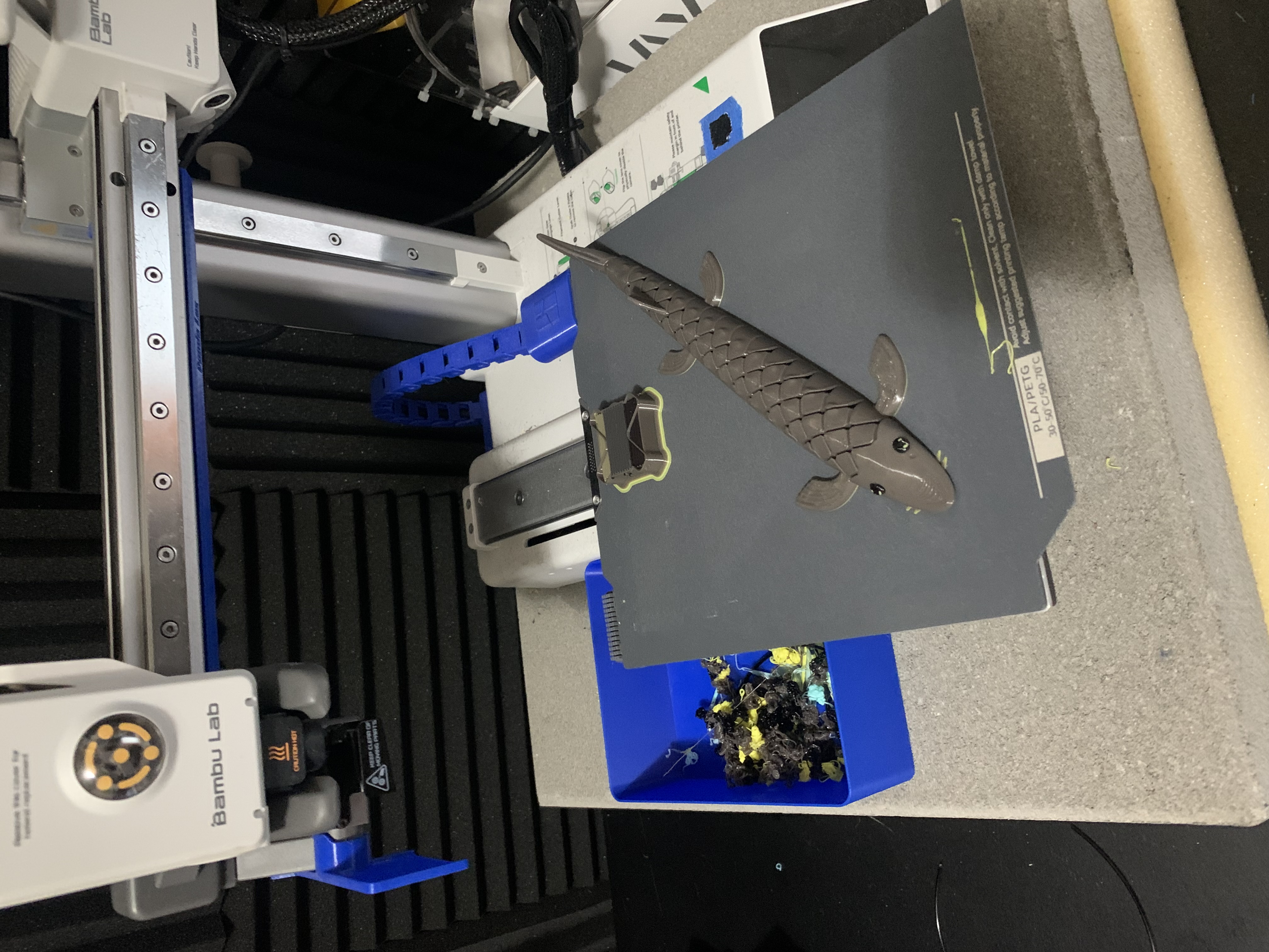Miniatura 2 do modelo 3D Flexi Sturgeon