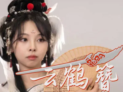 Cloud Crane Bun - Ancient Style Hairpin