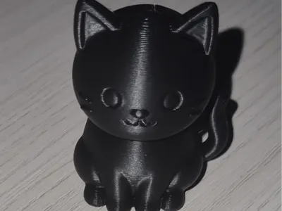 Kitten