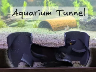Aquarium Tunnel