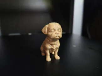 Shih tzu dog, keychain