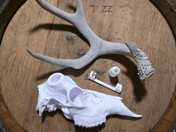 https://makerworld.bblmw.com/makerworld/model/US1f3dbc7761a956/design/bb41f787eb45c01e.jpg