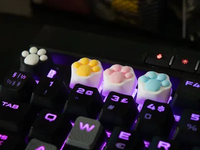Custom Paw Keycap for Keyboard
