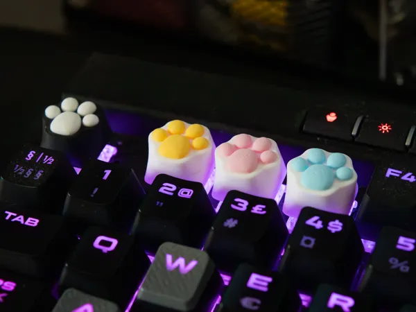 https://makerworld.bblmw.com/makerworld/model/US1f3de02df96952/design/b30305d8e91882ac.png