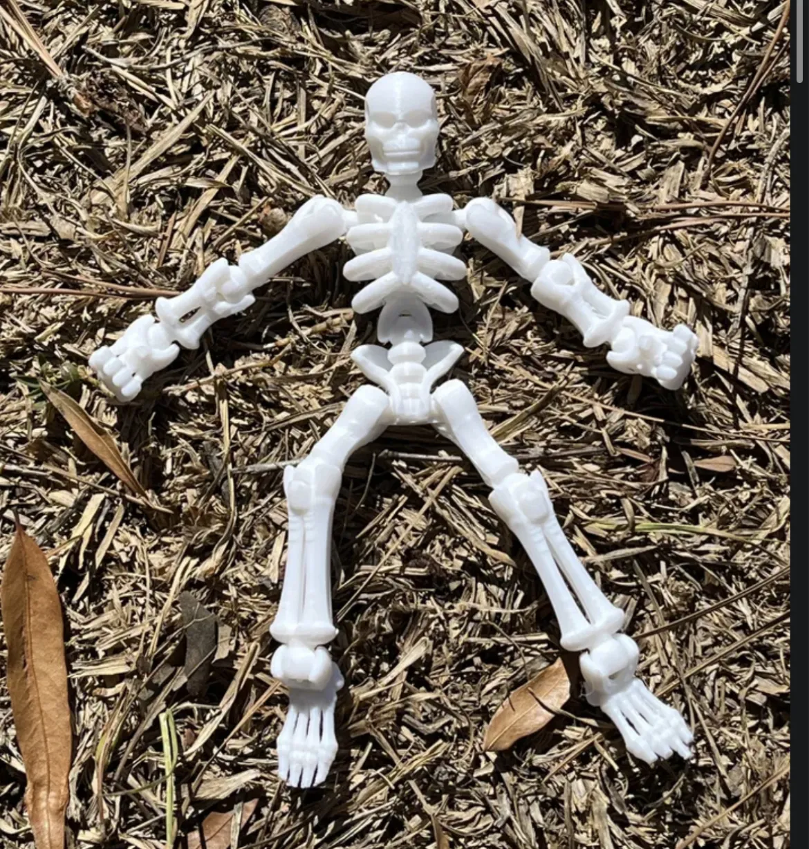 Skeleton - Free 3D Print Model - MakerWorld