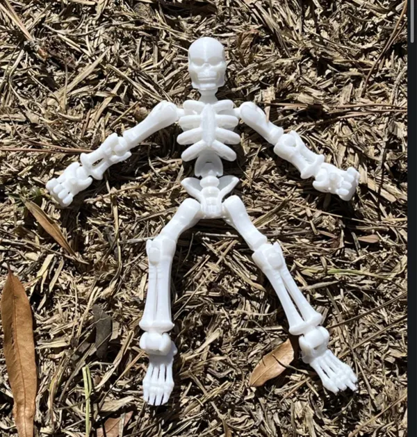 https://makerworld.bblmw.com/makerworld/model/US1f3f1be4aa1e8/design/2023-10-20_4girlmrd59j0.jpeg