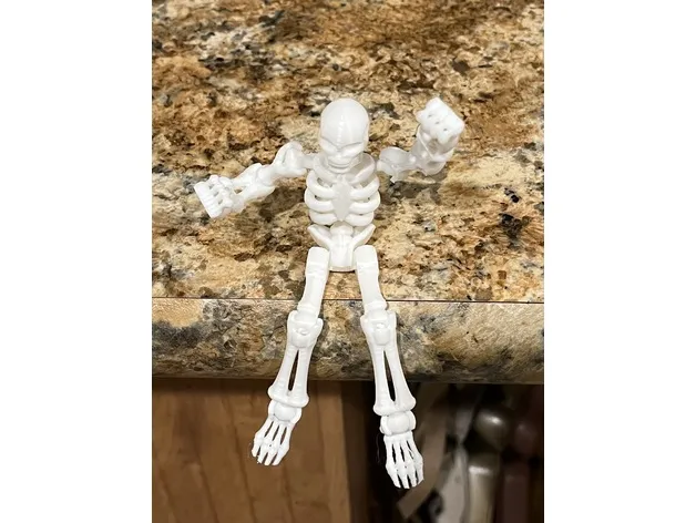 Skeleton by Precision 3-D MakerWorld: Download Free 3D Models
