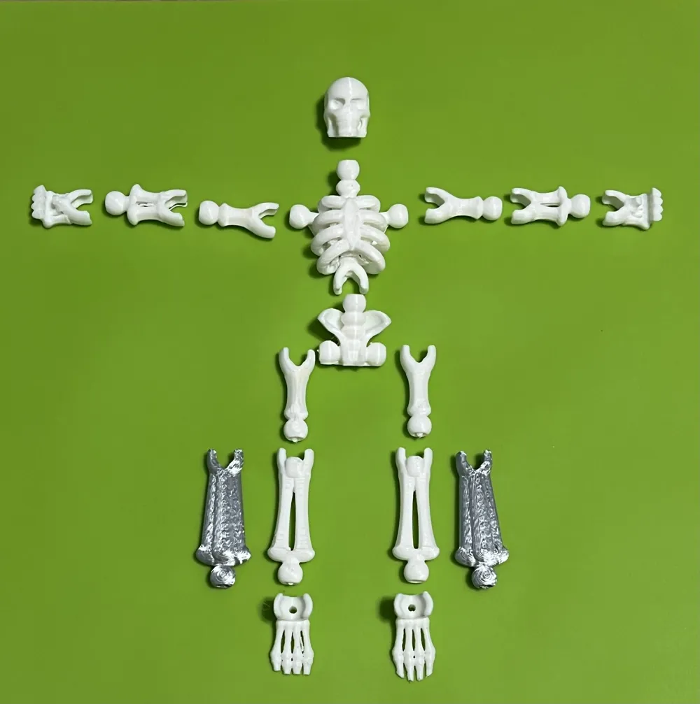 Skeleton by Precision 3-D MakerWorld: Download Free 3D Models