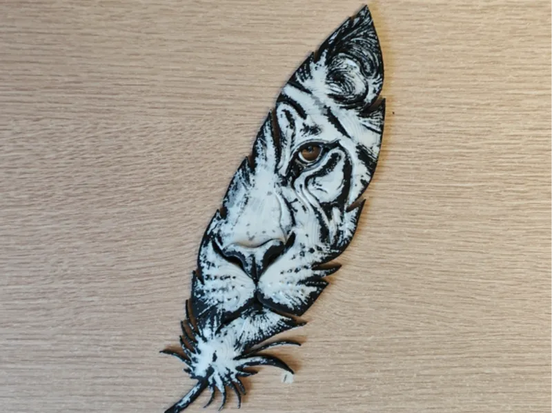 Double-sided tiger feather.