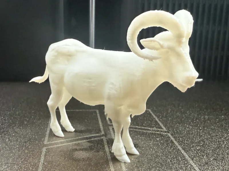 Goat with Horns
