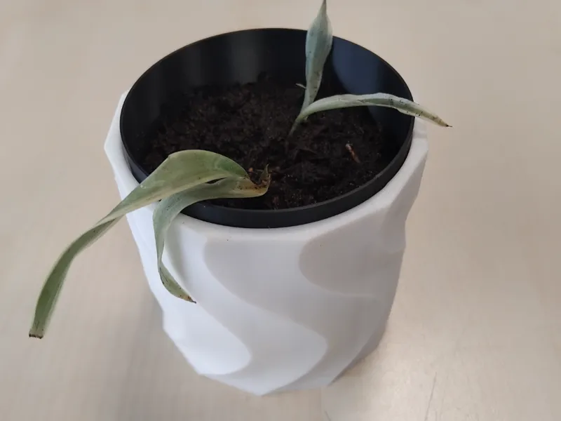 Vase with inner pot