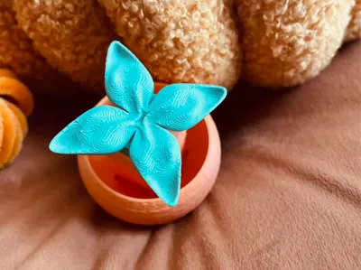 2 in 1 mini citrus fidget