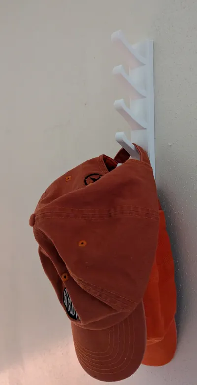 Wall Mounted Hat Rack 