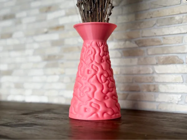 https://makerworld.bblmw.com/makerworld/model/US1f55229df780b0/design/2025-05-16_6c866488ad24d.jpg