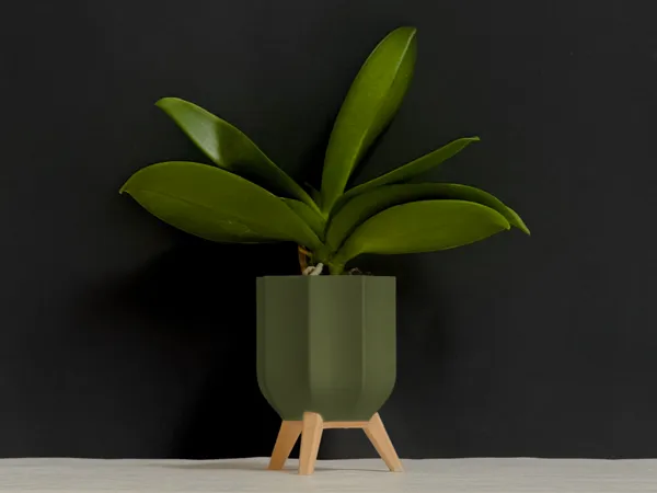 https://makerworld.bblmw.com/makerworld/model/US1f563246f51893/design/2025-02-07_331173d6e2fc2.jpeg