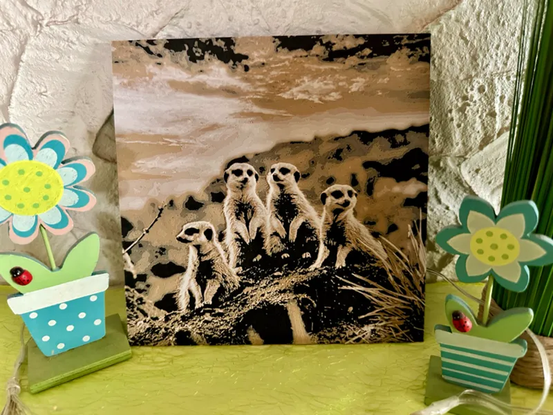 HueForge - Meerkats / Erdmännchen
