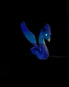 Occamy no cutout