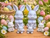 Bunny Family