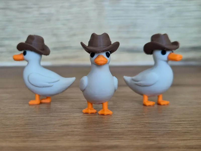 Duck in Hat