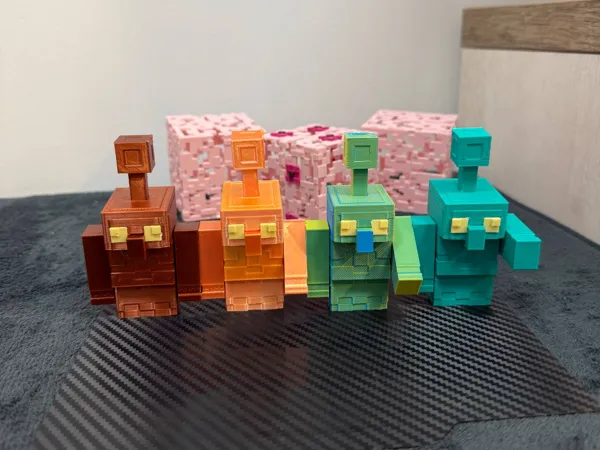 https://makerworld.bblmw.com/makerworld/model/US1f608200631ccc/design/2025-10-16_92e20c048c409.jpg