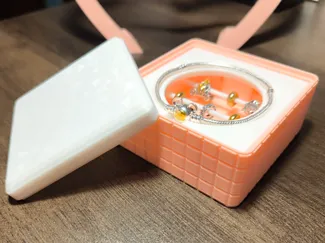 Pandora jewelry charm box