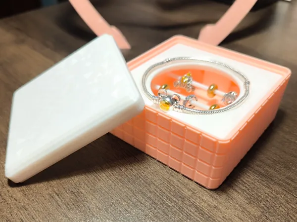 https://makerworld.bblmw.com/makerworld/model/US1f60b4e1fb3930/design/2025-02-09_ff8a48895eee1.jpg