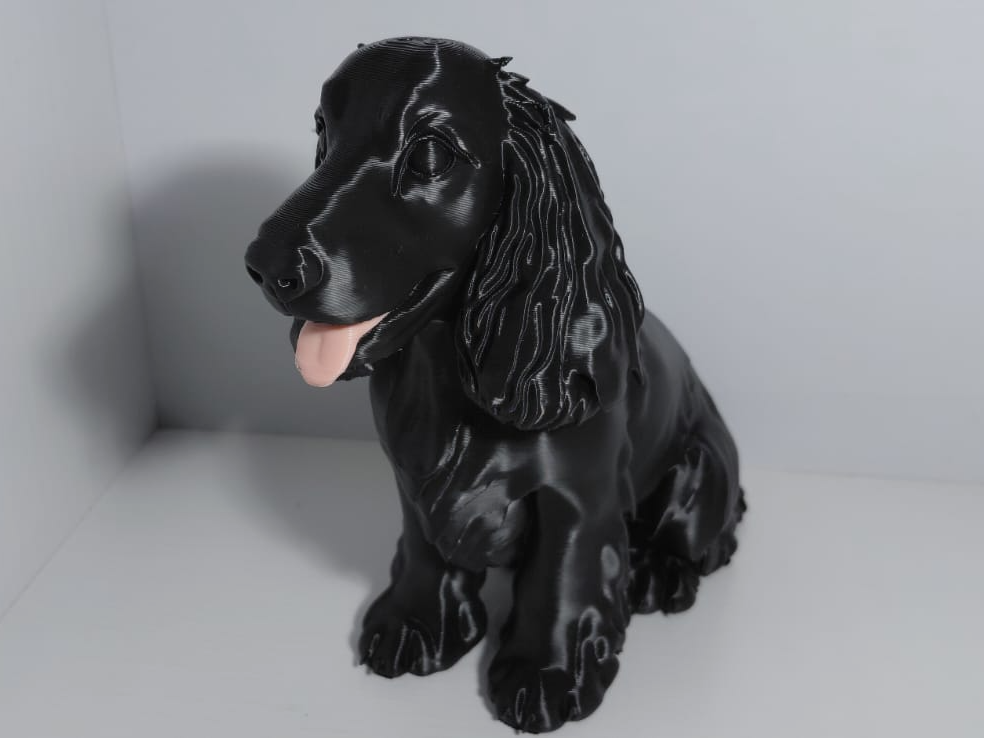 Miniatura 1 do modelo 3D Cachorro Cocker Spaniel