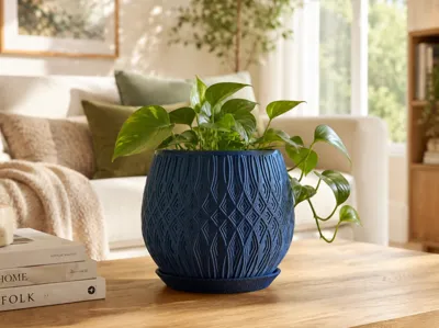 Livia Planter