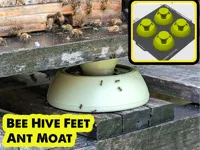 Pieds de ruche avec douve anti-fourmis — photo 2