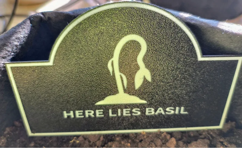 Garden tombstone for plants, fallen friends Basil