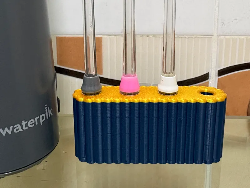 Holder for Waterpik water flosser tips