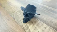 Petit crâne de cowboy — photo 2
