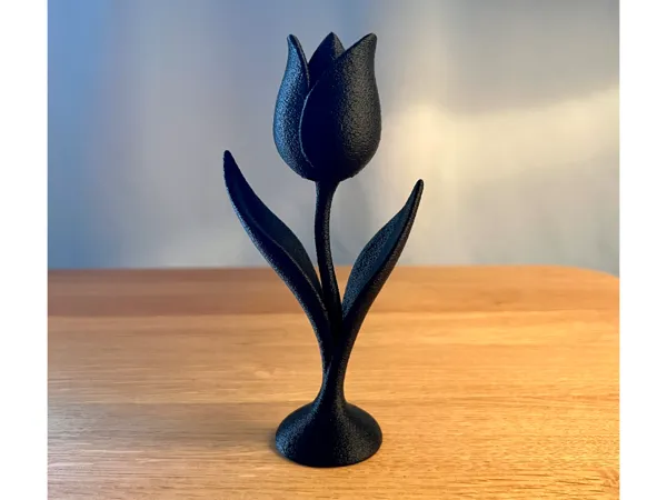 https://makerworld.bblmw.com/makerworld/model/US1f7340c2c47a3b/design/2025-05-09_6246a159168308.jpg