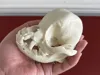 0.16mm layer, 3 walls, 8% infill
