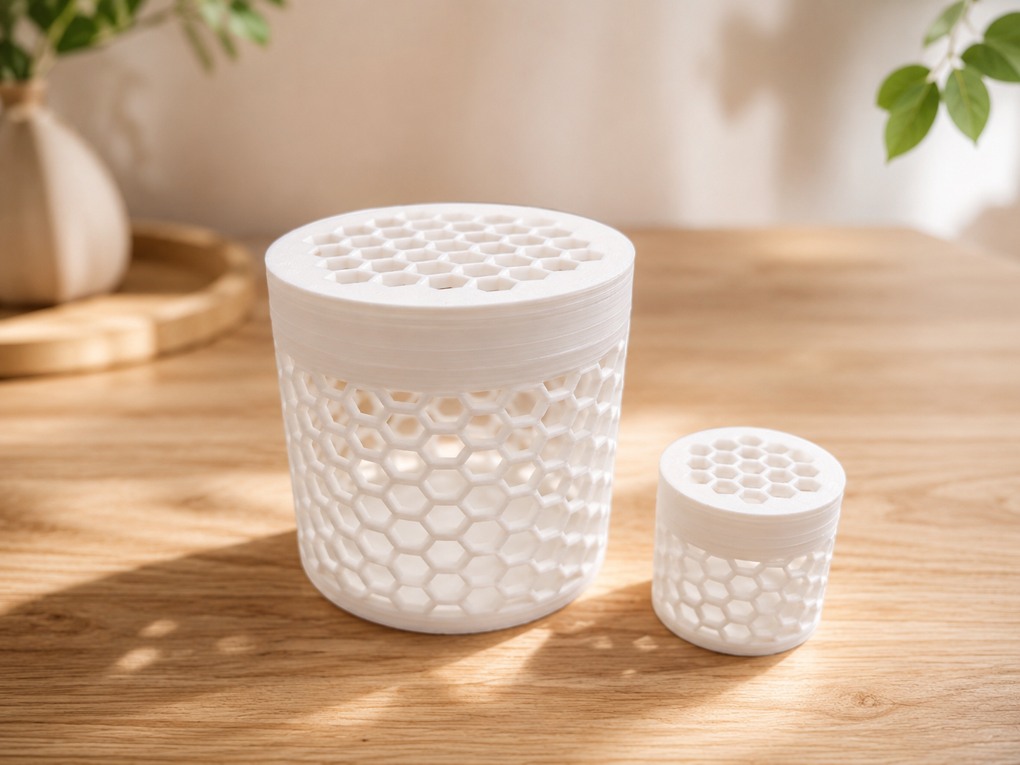 Miniatura 1 do modelo 3D 蜂窝罐（昆虫罐）