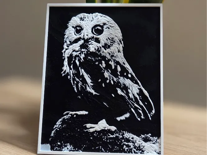 OWL in black/white