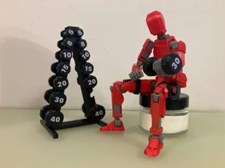 Dumbbells with rack for Dummy 13