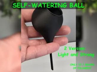 Self-Watering Ball