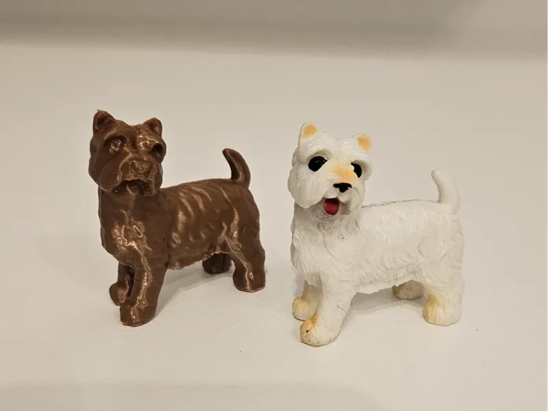 kleiner hund - little dog