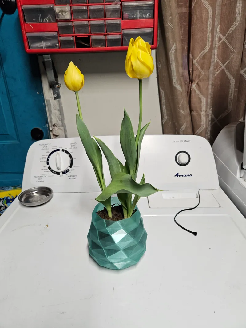 the flower pot