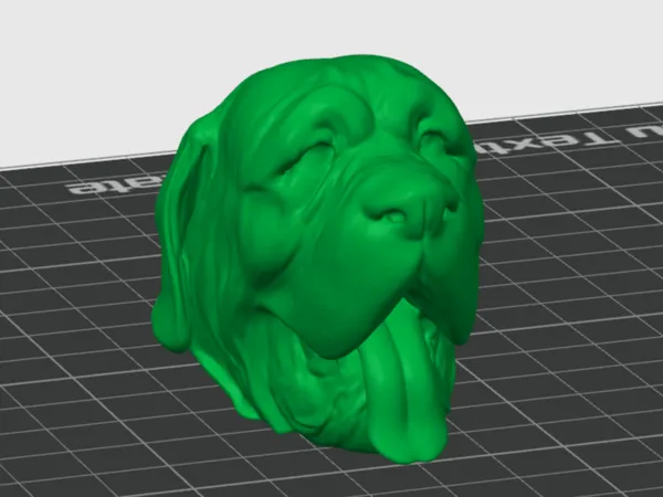Buste tête de mastiff anglais