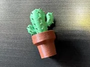 Plant Mini Cactus Magnets 