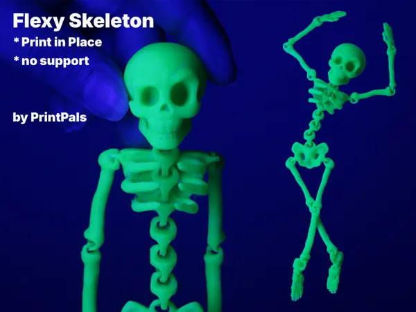 https://makerworld.bblmw.com/makerworld/model/US1f939a1335b7cd/design/2025-09-06_e5f532db150508.jpg